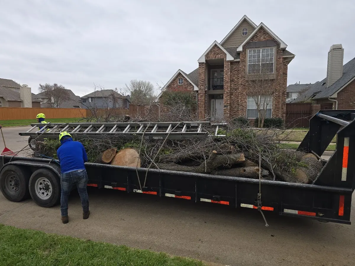 Expert Tree Pest Control with proper safety equipment in Higginson